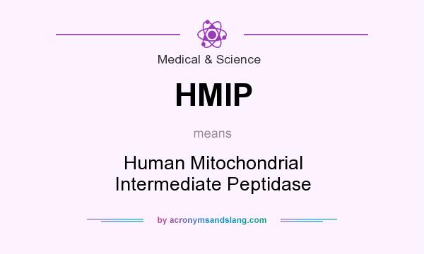What does HMIP mean? It stands for Human Mitochondrial Intermediate Peptidase
