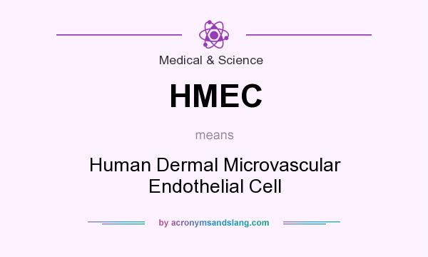 What does HMEC mean? It stands for Human Dermal Microvascular Endothelial Cell
