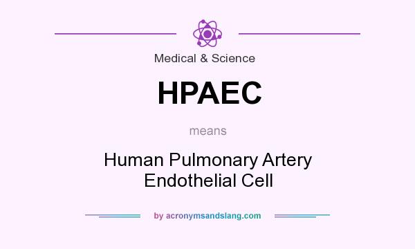 What does HPAEC mean? It stands for Human Pulmonary Artery Endothelial Cell