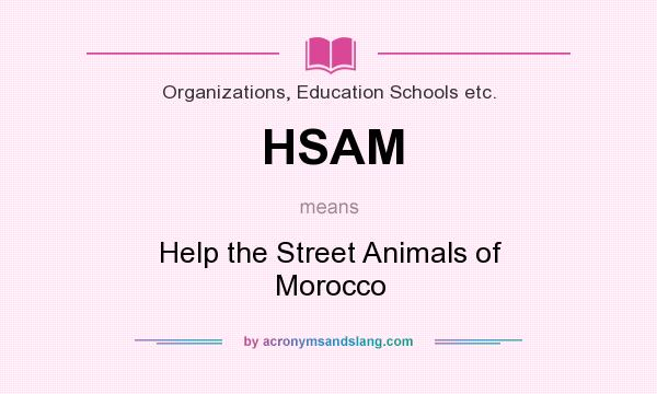 What does HSAM mean? It stands for Help the Street Animals of Morocco