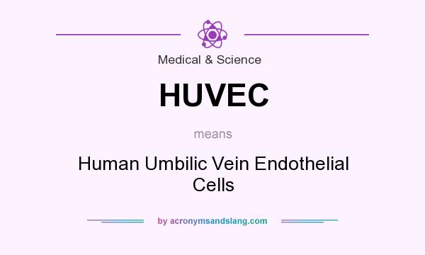 What does HUVEC mean? It stands for Human Umbilic Vein Endothelial Cells