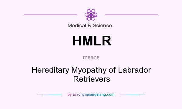 What does HMLR mean? It stands for Hereditary Myopathy of Labrador Retrievers