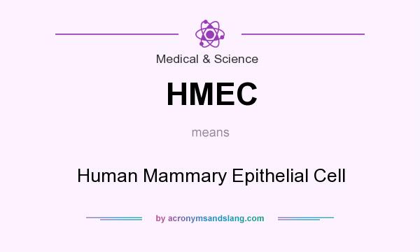 What does HMEC mean? It stands for Human Mammary Epithelial Cell