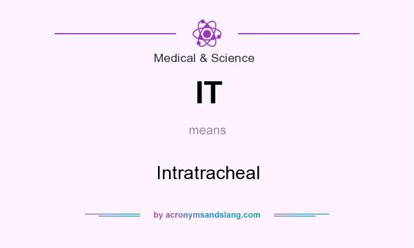 What does IT mean? It stands for Intratracheal