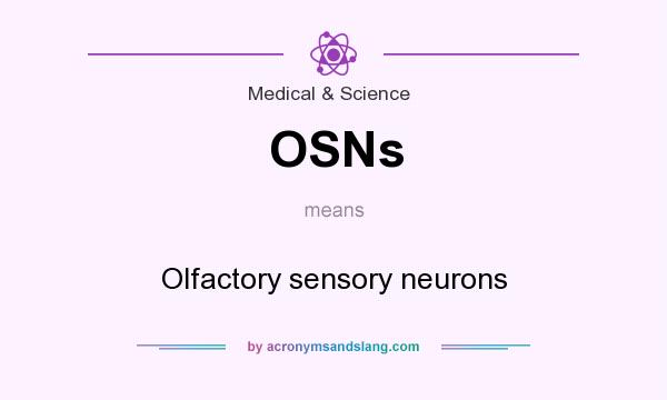 What does OSNs mean? It stands for Olfactory sensory neurons