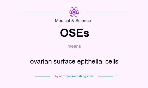 What does OSEs mean? It stands for ovarian surface epithelial cells
