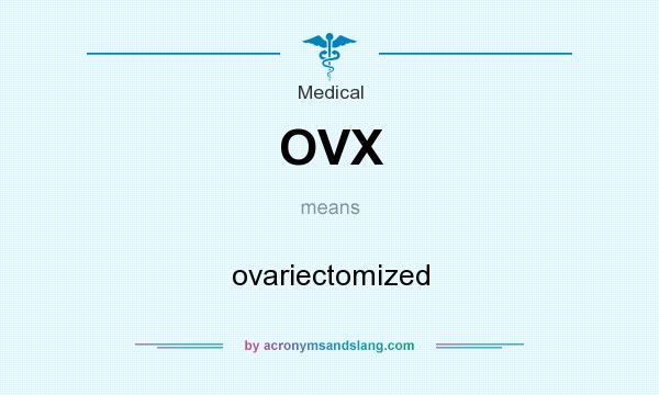 What does OVX mean? It stands for ovariectomized