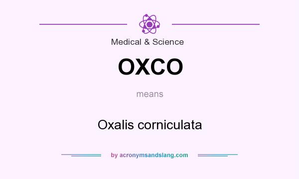 What does OXCO mean? It stands for Oxalis corniculata