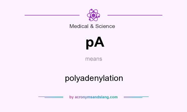 What does pA mean? It stands for polyadenylation
