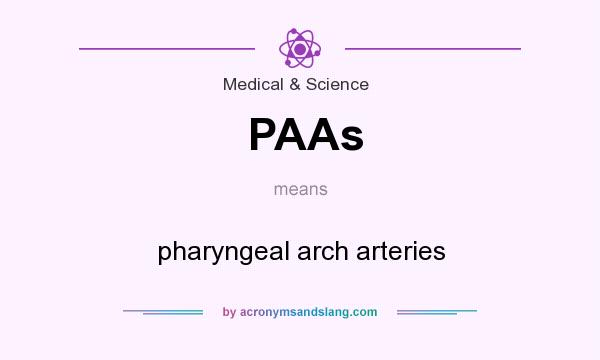 What does PAAs mean? It stands for pharyngeal arch arteries