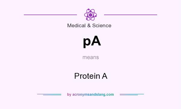 What does pA mean? It stands for Protein A