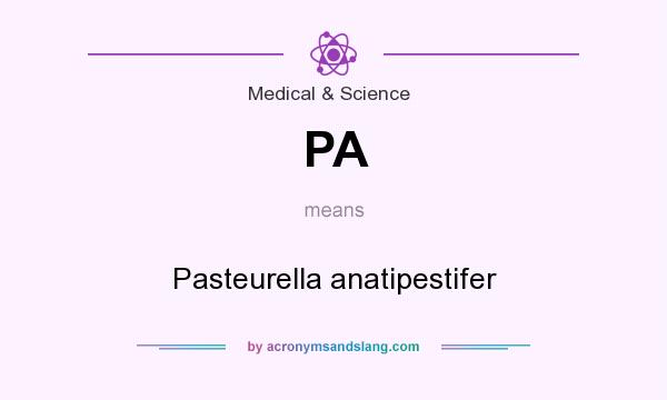 What does PA mean? It stands for Pasteurella anatipestifer