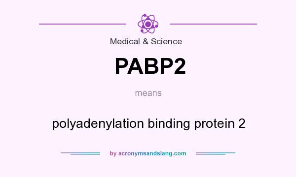 What does PABP2 mean? It stands for polyadenylation binding protein 2