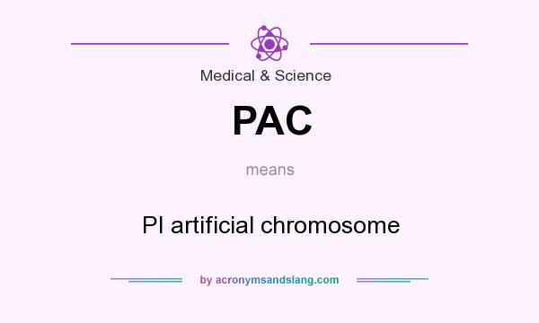 What does PAC mean? It stands for PI artificial chromosome