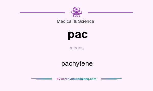 What does pac mean? It stands for pachytene