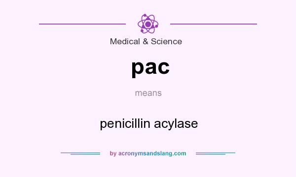 What does pac mean? It stands for penicillin acylase