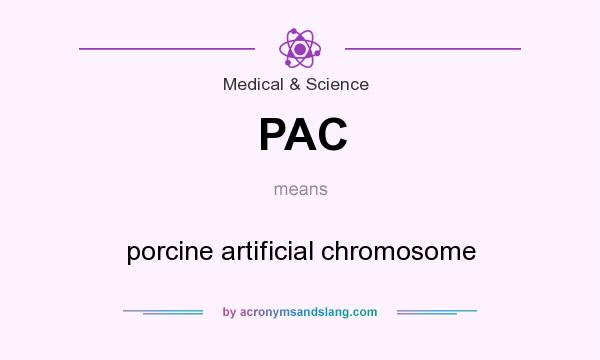 What does PAC mean? It stands for porcine artificial chromosome