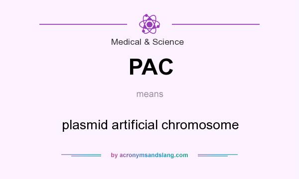 What does PAC mean? It stands for plasmid artificial chromosome