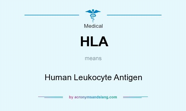What does HLA mean? It stands for Human Leukocyte Antigen