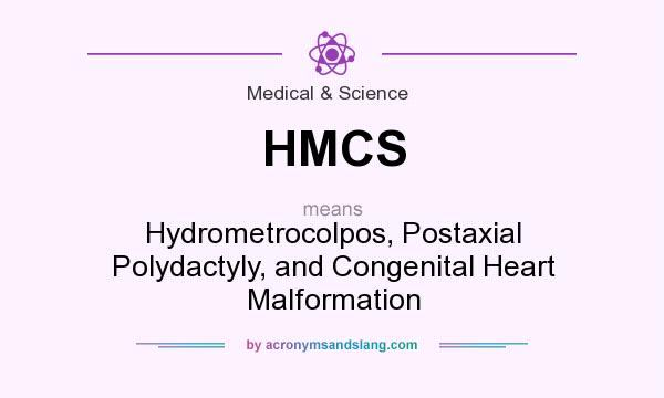 What does HMCS mean? It stands for Hydrometrocolpos, Postaxial Polydactyly, and Congenital Heart Malformation