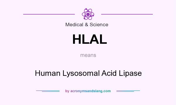 What does HLAL mean? It stands for Human Lysosomal Acid Lipase