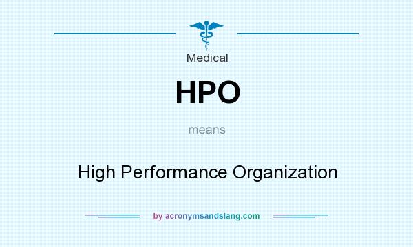 What does HPO mean? It stands for High Performance Organization
