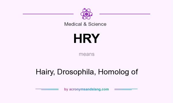 What does HRY mean? It stands for Hairy, Drosophila, Homolog of
