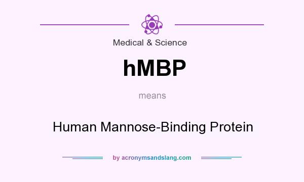 What does hMBP mean? It stands for Human Mannose-Binding Protein
