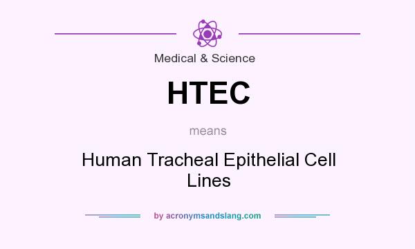 What does HTEC mean? It stands for Human Tracheal Epithelial Cell Lines