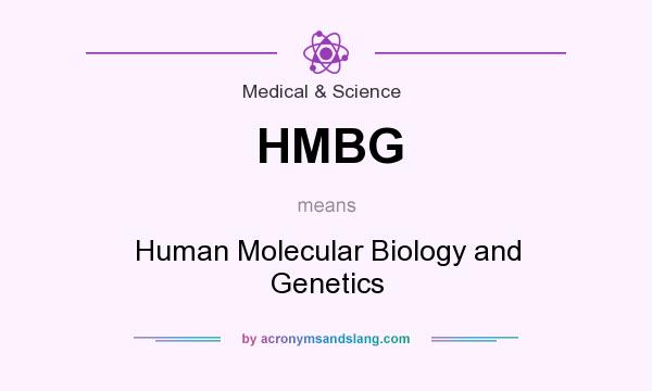 What does HMBG mean? It stands for Human Molecular Biology and Genetics