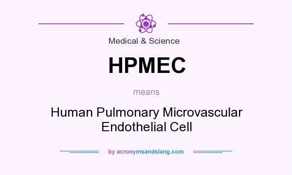 What does HPMEC mean? It stands for Human Pulmonary Microvascular Endothelial Cell