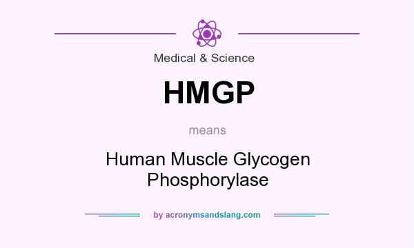 What does HMGP mean? It stands for Human Muscle Glycogen Phosphorylase