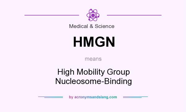What does HMGN mean? It stands for High Mobility Group Nucleosome-Binding