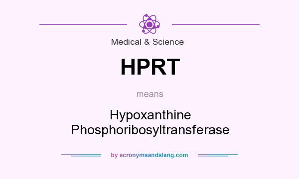 What does HPRT mean? It stands for Hypoxanthine Phosphoribosyltransferase