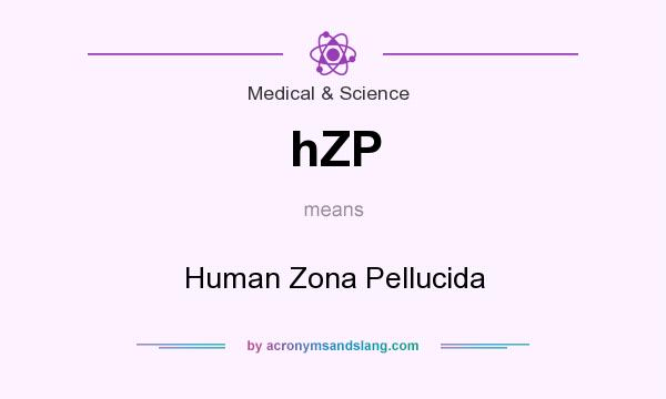 What does hZP mean? It stands for Human Zona Pellucida