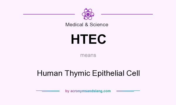 What does HTEC mean? It stands for Human Thymic Epithelial Cell