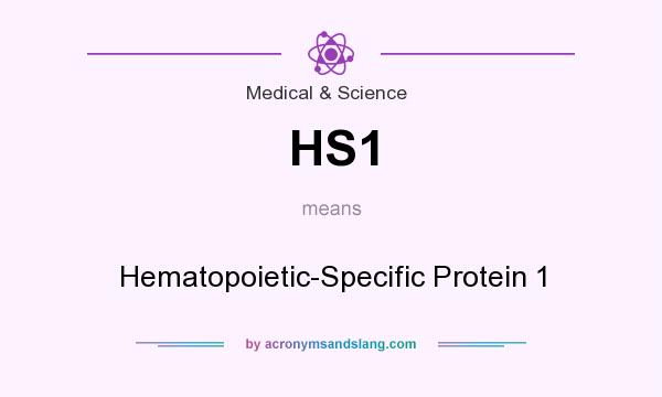 What does HS1 mean? It stands for Hematopoietic-Specific Protein 1