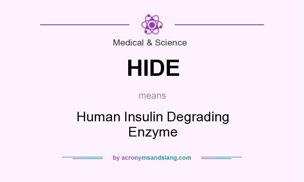 What does HIDE mean? It stands for Human Insulin Degrading Enzyme
