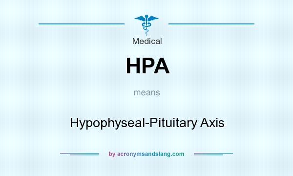 What does HPA mean? It stands for Hypophyseal-Pituitary Axis