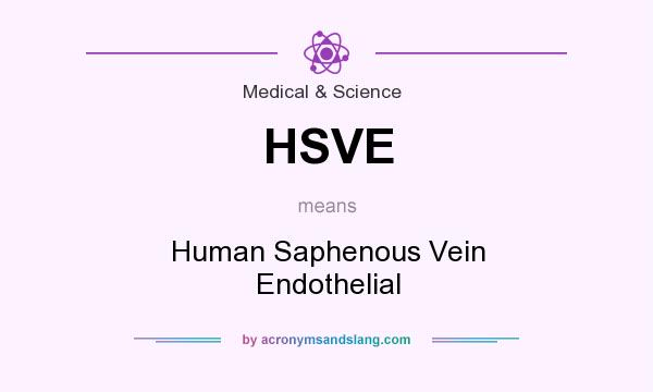What does HSVE mean? It stands for Human Saphenous Vein Endothelial