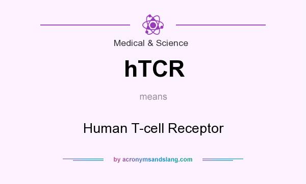 What does hTCR mean? It stands for Human T-cell Receptor