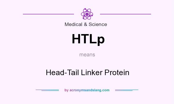 What does HTLp mean? It stands for Head-Tail Linker Protein