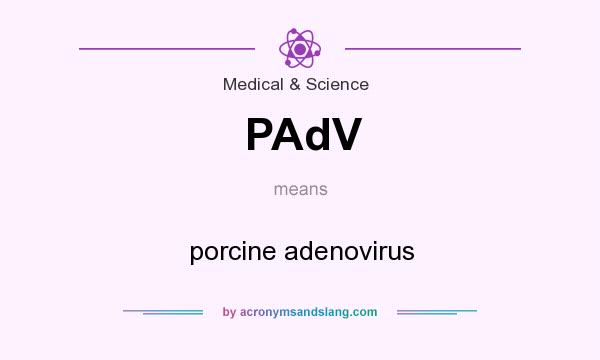 What does PAdV mean? It stands for porcine adenovirus