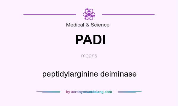 What does PADI mean? It stands for peptidylarginine deiminase