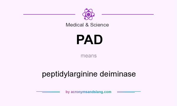 What does PAD mean? It stands for peptidylarginine deiminase