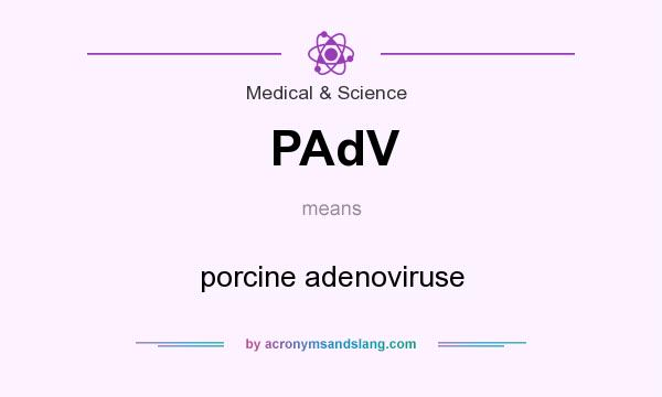 What does PAdV mean? It stands for porcine adenoviruse