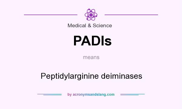 What does PADIs mean? It stands for Peptidylarginine deiminases