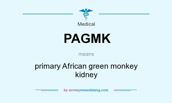 What does PAGMK mean? It stands for primary African green monkey kidney