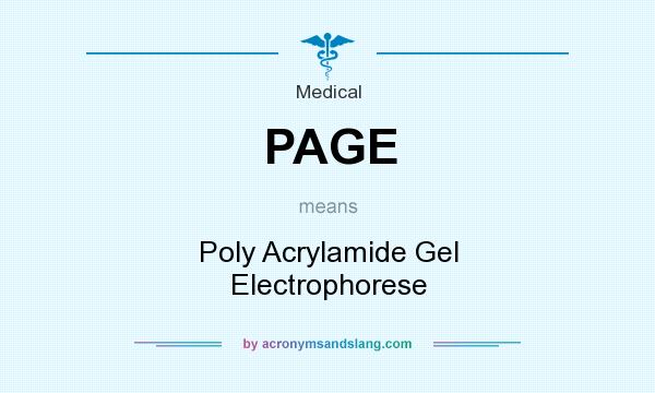 What does PAGE mean? It stands for Poly Acrylamide Gel Electrophorese