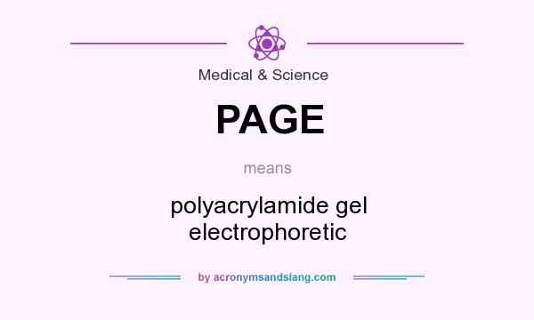 What does PAGE mean? It stands for polyacrylamide gel electrophoretic